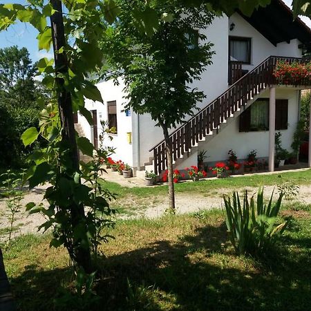 Apartment Manda Раковица Екстер'єр фото